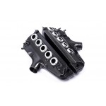 Eventuri Carbon intake manifold for BMW M5 / M6 E6X